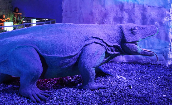 MEGALANIA (genre de varan)