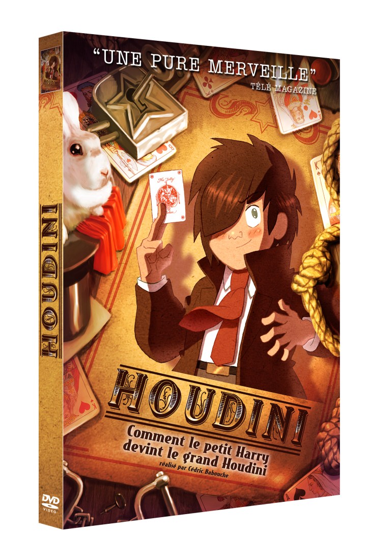 3D HOUDINI