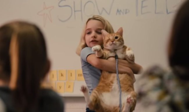 fred-one-eyed-cat-1-650x384