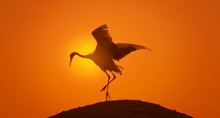 MV5BMTQ1NWRjMDctOTRjNC00ZTQxLTlkNTUtMWVhMzJmMWNkMTVkXkEyXkFqcGdeQXVyNjQ3NDgzMDM@._V1_SX1777_CR0,0,1777,960_AL_